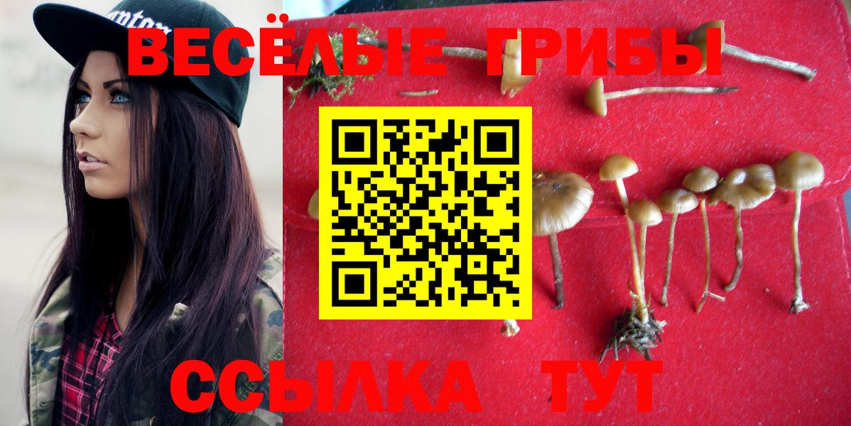 Галлюциногенные грибы ЛСД Кулебаки